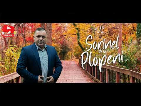 Petrecere 2024 - Super Mix Sârbe și Hore de Top! 🔥💥 Cele Mai Tari Sârbe și Hore pentru Petreceri