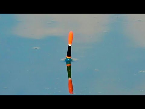 Рыбалка на болоте! Поплавок с мормышкой лучшая снасть! Ловля карася на удочку