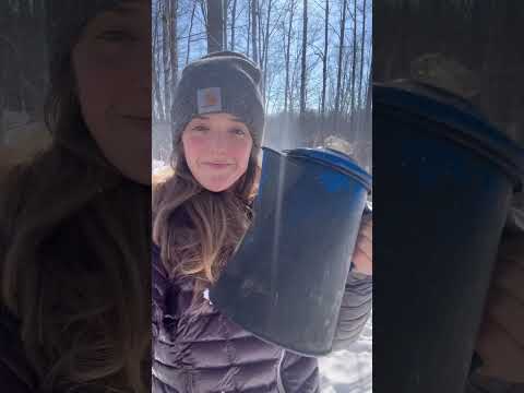 Off-Grid Water ? Life in the North Woods #buslife #vanlife #offgrid