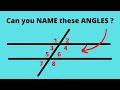 Exploring Angles Formed by a Transversal