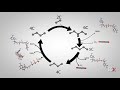 Citric Acid Cycle Concepts