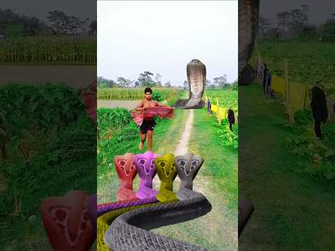 nara nara#khambhu#dha kheta#tag#dina Hara Hara shambhug