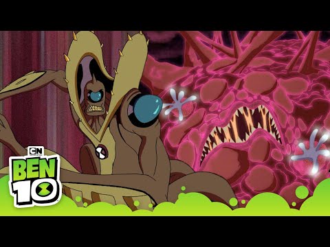 Massive Mushroom Monster | Ben 10 Classic | Cartoon Network | Cartoons for Kids