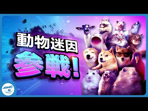 【全員参戦】動物迷因全員參戰 [Part.1????]  Animals Join The Battle! - YouTube