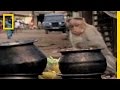 Macaques in Southern India
