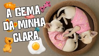 CLARA, NEVE E POLENTA ESTÃO LIGADAS NO 220V🤯