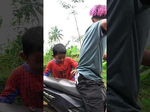 cara atasi ee ayam di jok motor #hiburan #kreatif
