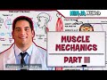 Muscle Mechanics and Lever Systems