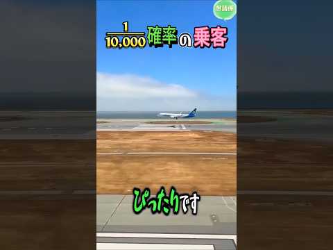 飛行機で中々見れない姿