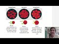 Cell Membrane Structure and Function