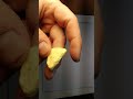 Characteristics of a Mineral