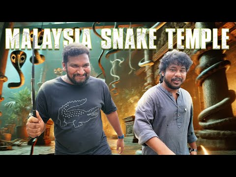 💥🤯Malaysia Snake Temple  蛇庙  | Aarif's MindVoice..⁉️💢