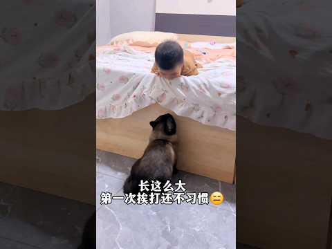 #Hello BabyGaGa宝宝乐 #shorts #推荐 對視😄#寶寶 #萌娃 #人類幼崽 #嬰兒 #kids #baby #cute #funny