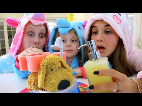 Дана купает питомца! Нас обрызгали // Леди Дана
