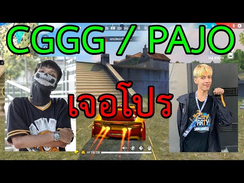 FREE FIRE เจอโปร cggg กับ pajo จะสู้ไหวไหม !