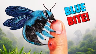BITTEN and STUNG by Borneo's Biggest Blue Bee!