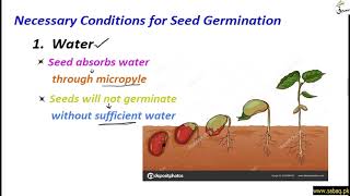 Necessary Conditions for Seed Germination