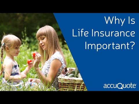 How Does Life Insurance Work? The Process Overview