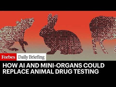 YouTube video thumbnail: This Technology Could Finally End Animal Testing
