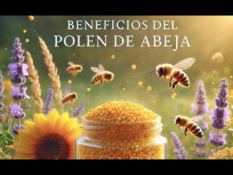 Beneficios del polen de abeja