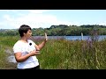 Cuestionario sobre el entorno fluvial y el encoro