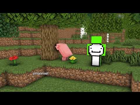 Pig Speedruns Minecraft 🤣