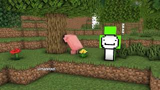 Pig Speedruns Minecraft 🤣