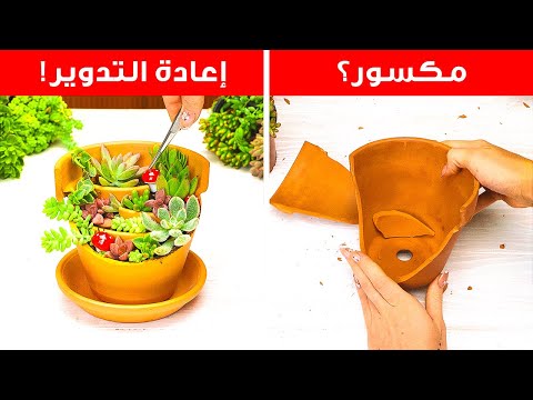 من القمامة إلى الإزهار: حيل عبقرية للحديقة باستخدام النفايات اليومية! 🌱♻️