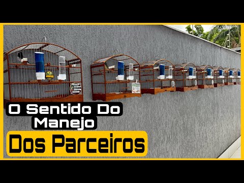 MANEJO DOS PARCEIROS