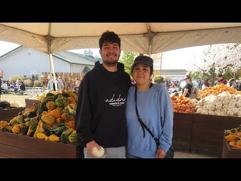 nos fuimos a las calabazas hoy y miren todo lo que encontramos