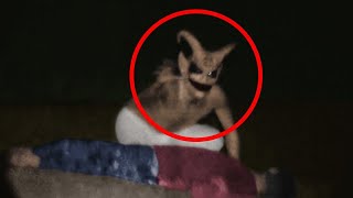 Top 15 Scary Videos That Will Have You Tying Your Shoes to Run