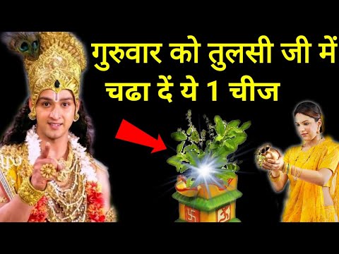 गुरुवार को तुलसी में चढा दें ये 1 चीज खींची चली आएंगी मां लक्ष्मी | गुरुवार को तुलसी पूजा | Tulsi