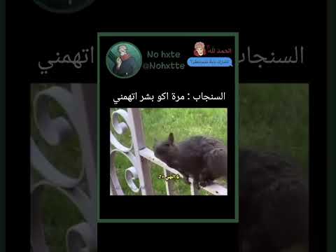 حس بشعور الظلم يعزتي له😭😭 #explore #اكسبلور #nohxtte