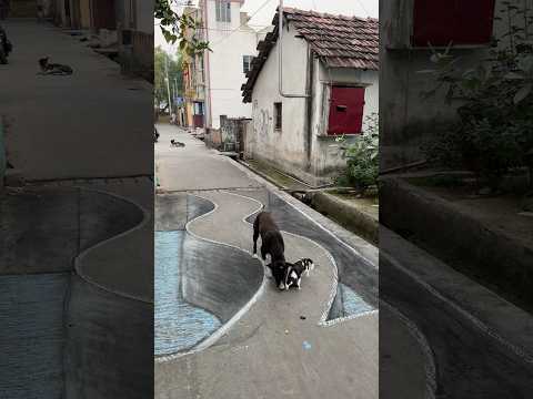 3D street art #art #shorts