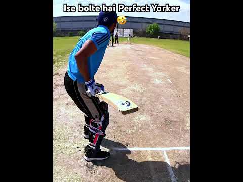 Batsman dhunta reh gaya ball 🤣 #cricket #highlights #crickethighlights
