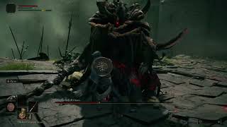 Elden Ring - NO DAMAGE, NO LEVEL UP - Margit, the Fell Omen (PS5)