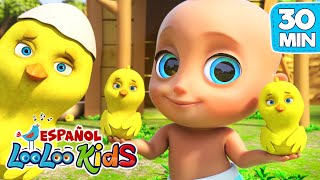 🐔 Los Pollitos y Otra Canciones Infantiles | 30 Minutos Divertidas | LooLoo Kids Mix 📺
