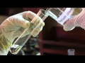 Chemical Reactions and Their Types
