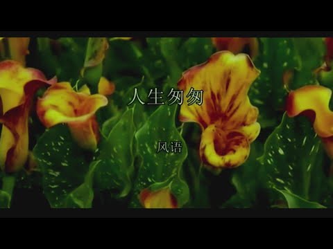 人生匆匆-風語-伴奏 KARAOKE