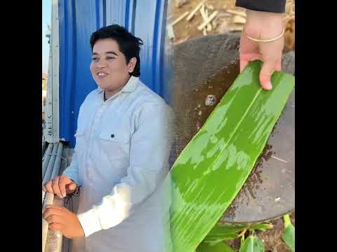 🤣#student #studentlife #schoollife #school #teachers #teacherbelike #class #pov