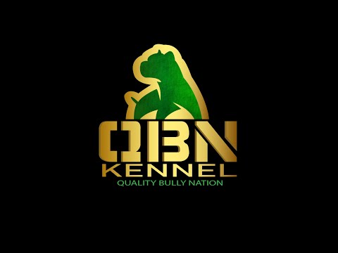 Nutrition Master Class QBN Kennel