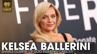 Kelsea Ballerini Shares Glimpse Of Dog After 'One Year Of Fighting Cancer' | Fast Facts