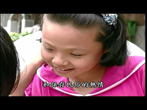 鄉遊劄記~8~新化鬥蟋蟀vs集集清心遊DVD