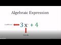 Exploring Algebraic Expressions with Algebra Tiles