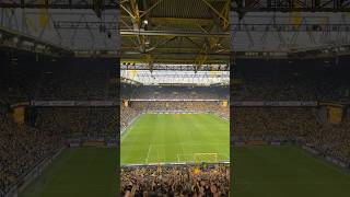 Borussia BvB 👊⚫️🟡 #bvb #borussiadortmund #heimsieg #reus #bundesliga #dortmund
