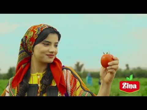 تبعني... في بني مطير
