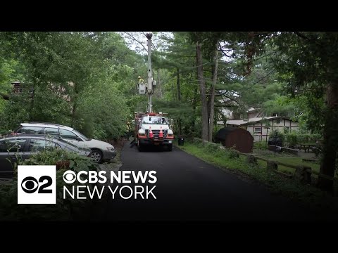 YouTube video thumbnail: Tree Falls on Top of Home in West Milford, New Jersey