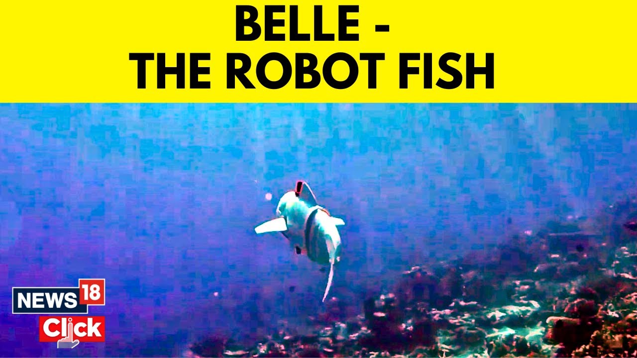 Autonomous Robot Fish Belle Is Saving Oceans, Protecting Seas | Artificial Intelligence | News18