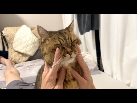 【なぜ？】パパと感動の再会を果たした猫がまさかの…