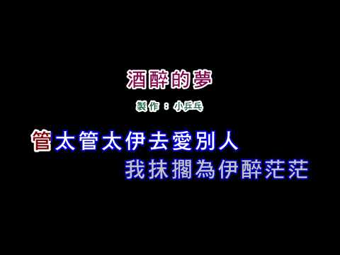 (演唱版)江蕙-酒醉的夢(DIY卡拉OK字幕)